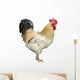 An Adult Rooster Wall Decal