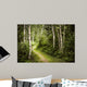 Path in Green Summer Forest