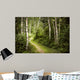 Path in Green Summer Forest