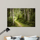 Path in Green Summer Forest