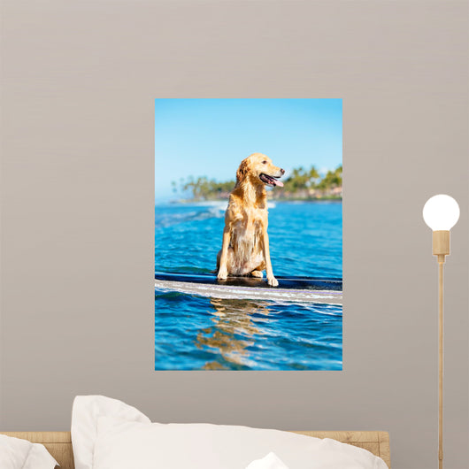 Surfing Dog