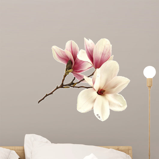 magnolia