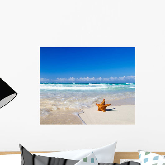 starfish with ocean