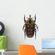 tropical beetle collection amaurodes passerinii nigricans Wall Decal