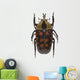tropical beetle collection amaurodes passerinii nigricans Wall Decal
