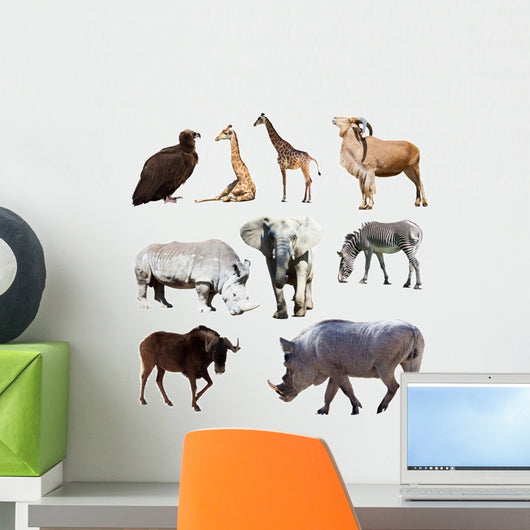 Warthog and few other African animals