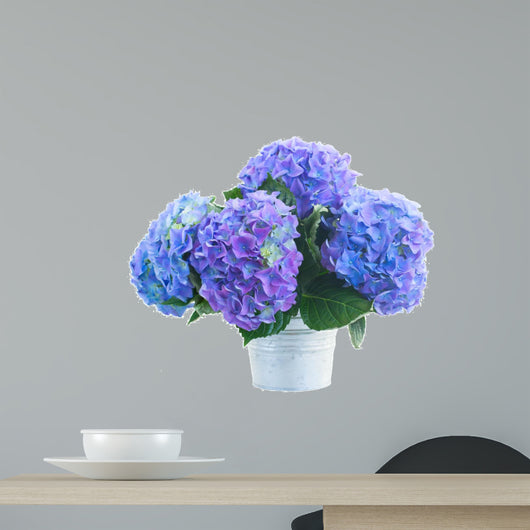 posy of blue hortensia flowers