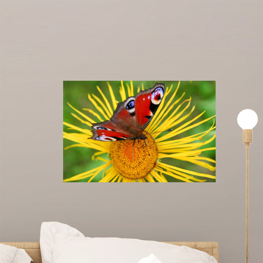 Butterfly on the flower Wall Mural