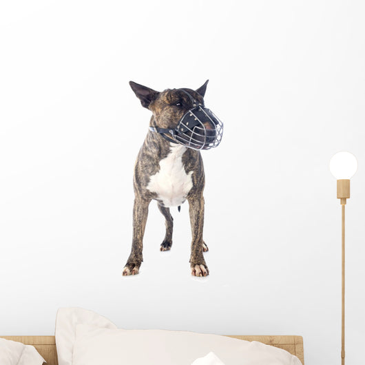 Bull Terrier and Muzzle Wall Decal
