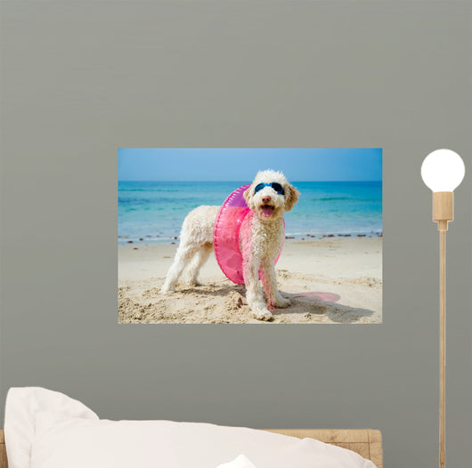 Hund am Strand