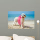 Hund am Strand