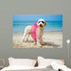 Hund am Strand