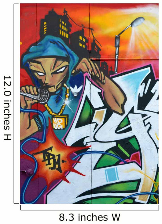 graffiti Wall Mural