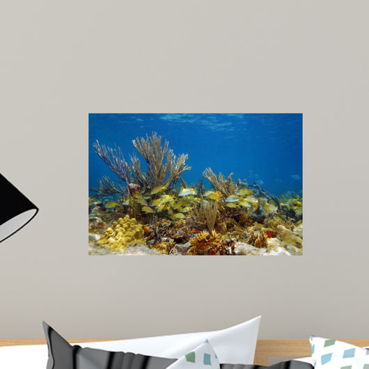 Underwater landscape in a coral reef with fish
