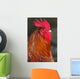 Red Rooster