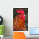 Red Rooster