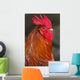 Red Rooster