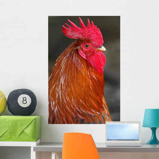 Red Rooster