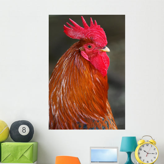 Red Rooster