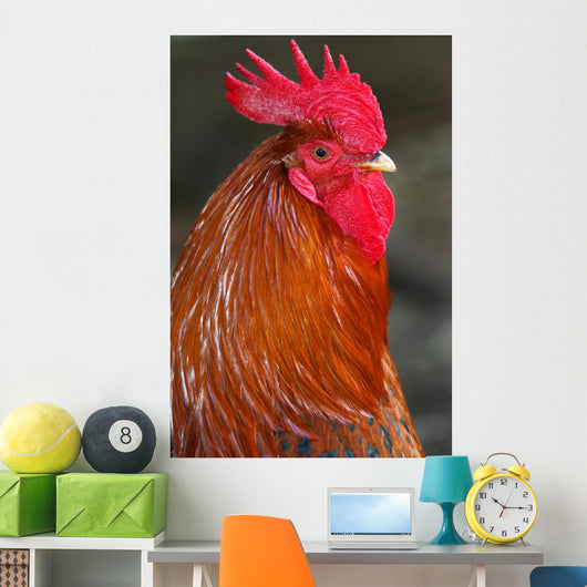 Red Rooster