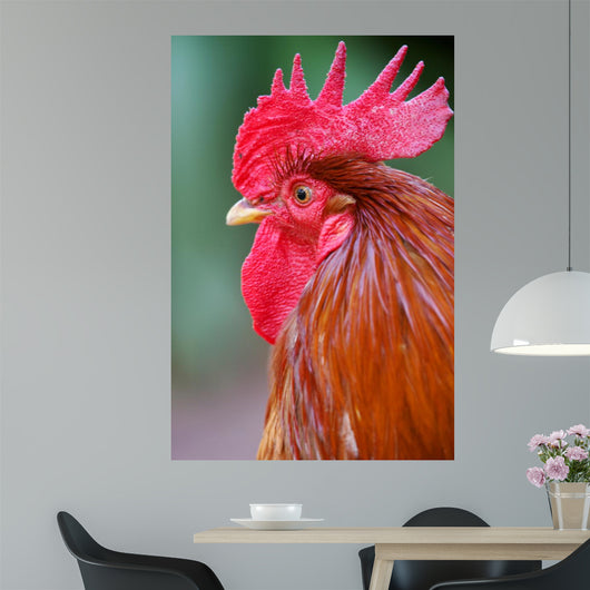 Red Rooster