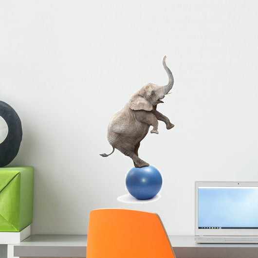 African Circus Elephant Balancing Wall Decal