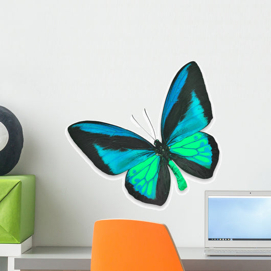 Beautiful Black and Blue Butterfly Wall Decal
