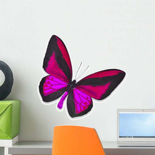 Beautiful Black and Pink Butterfly Wall Decal