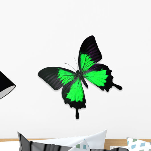 Beautiful Black and Green Butterfly Wall Decal