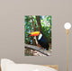 Toco Toucan (Common)