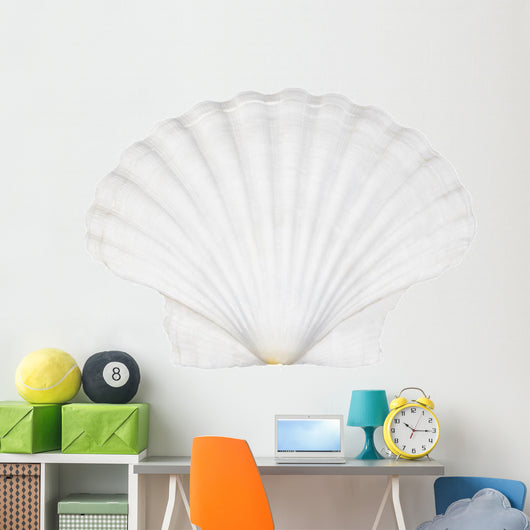 Beautifiul Ocean Shell Isolated on White
