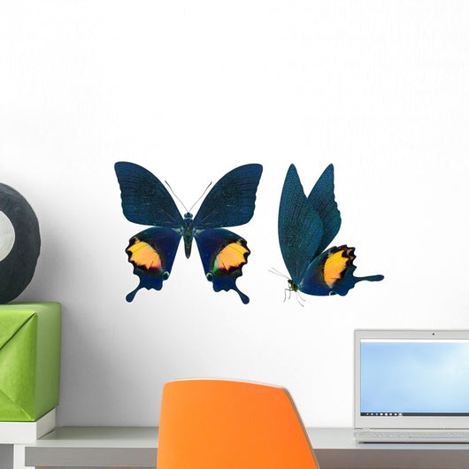 beautiful butterfly isolated on white Wall Decal