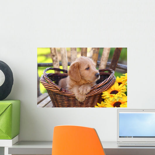 Adorable Poodle Mix Puppy Sitting in Basket with Sunflowers Wall Mural