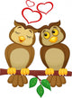 Cute couple cartoon owl  in love Wall Decal