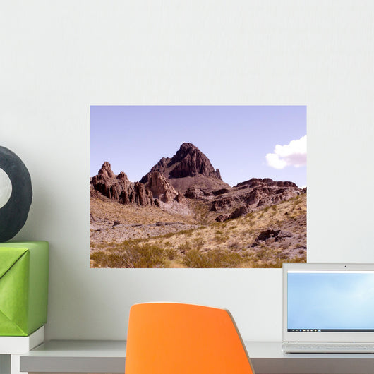 Desert Environment Wall Mural