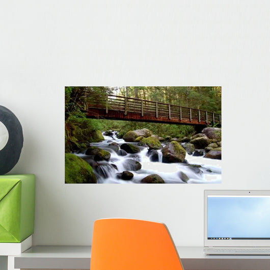 Bridge over Stream Wall Decal