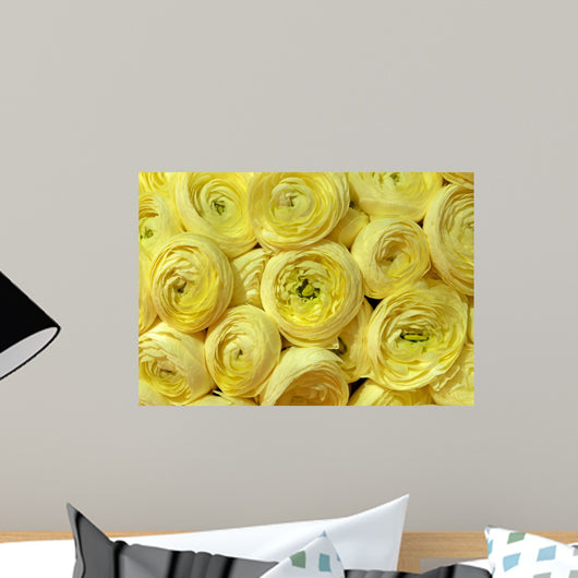 Nice Yellow Peonies