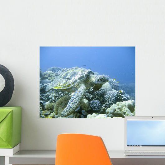 green sea turtle in a tropical coral reef scuba diving adventure Wall Mural