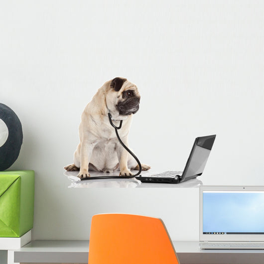Doctor Pug Dog Wall Decal