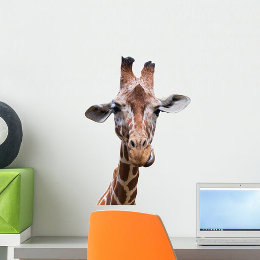 Portrait Giraffe