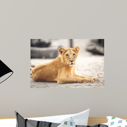 Portrait of beautiful lioness Wall Mural