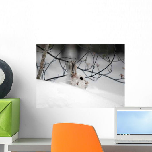 Snowshoe Hare Hiding Wall Decal