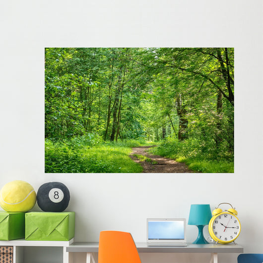 Path Wood