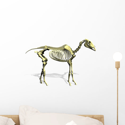 Horse Skeleton Wall Decal