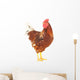 Rooster Brown