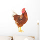 Rooster Brown