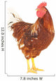 Rooster Brown