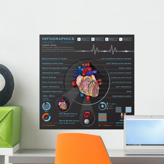 Heart and Blood System