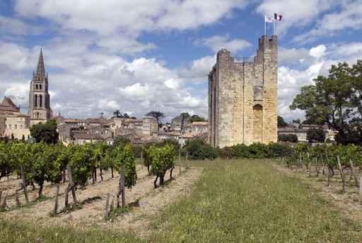 Tour Du Roy St Wall Decal