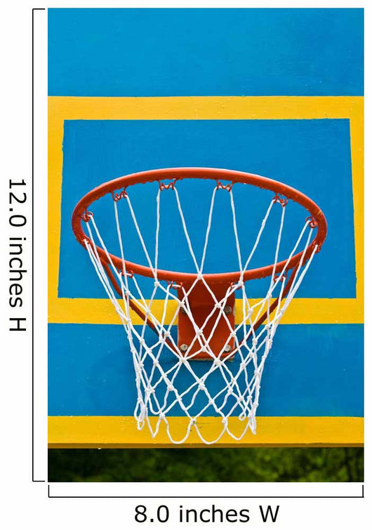 Sport Series Basket for the Basketball Game Wall Mural
